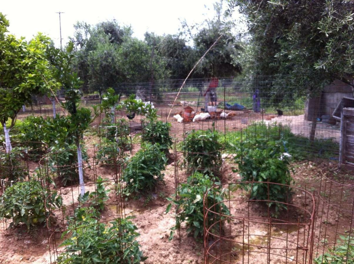 Bio Garden Stonehouse Villa Gonia Exterior foto
