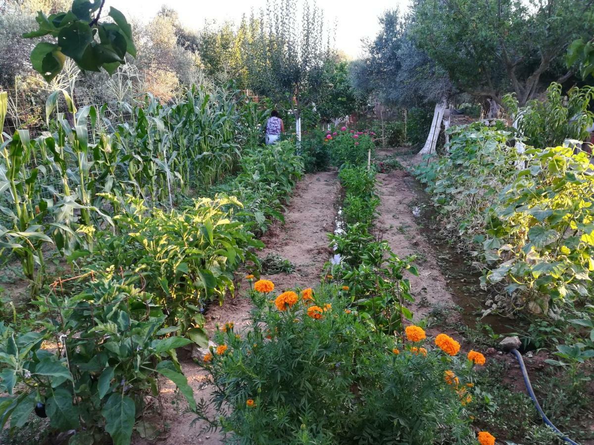 Bio Garden Stonehouse Villa Gonia Exterior foto